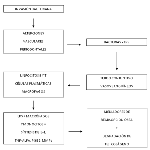Figura 1 Representación esquemática del proceso inflamatorio e infeccioso periodontal en pacientes diabéticos.