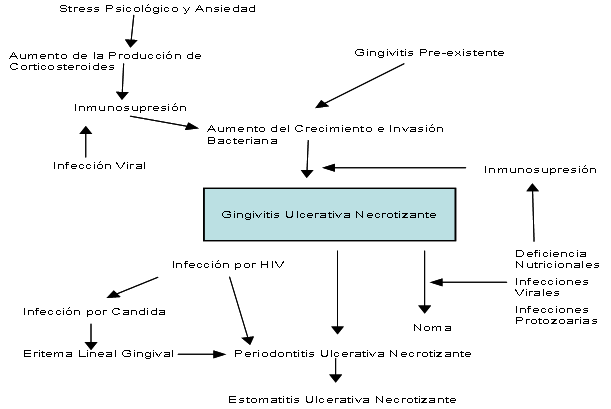 Cuadro 1 Fuente: Journal of Periodontology 1999 (4) 1, 70