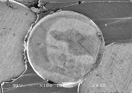 Figura 6 - Aspecto morfológico de la región de fractura después de la prueba de microcizallamiento utilizando el Clearfil SE Bond. Se observa la falla adhesiva (aumento 100x)