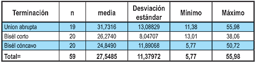Tabla 1 Medidas descriptivas por tipo de terminación.