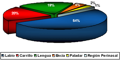 Grafico 5: DISTRIBUCION SEGUN LA LOCALIZACION