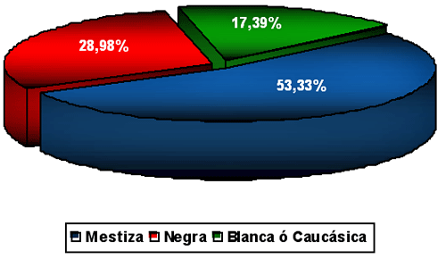 Gráfico 6: DISTRIBUCIÓN SEGÚN LA ETNIA