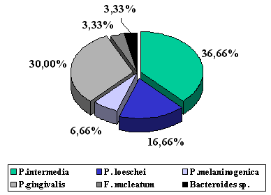 Figura 1. Especies de Bacilos Anaerobios Gram Negativos detectadas en muestras de sacos periodontales de pacientes con periodontitis.