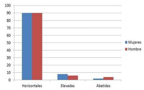 TIPOS DE COMISURAS