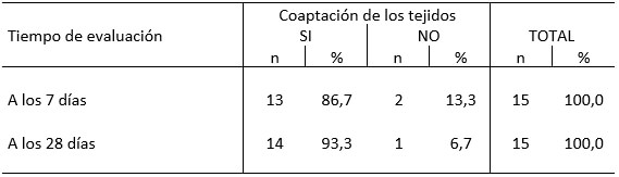 Tabla I Reposición de los tejidos en relación al tiempo de evaluación.