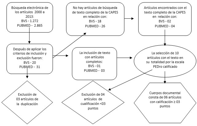 Figura 1 Diagrama de flujo de la estrategia de los artículos de búsqueda para componer la revisión sistemática.