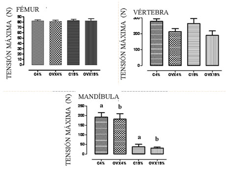 FIGURA 1 PRUEBA BIOMECÁNICA