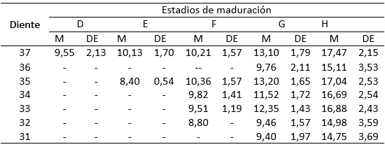 Tabla IV Medias (M) en años y desviación estándar (DE) de la edad cronológica en las que se observan los estadios de maduración según Demirjian y cols., en los dientes permanentes del cuadrante inferior izquierdo, hembras.