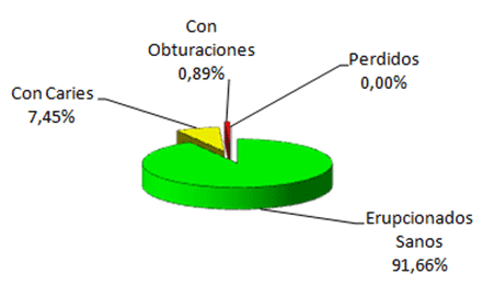 Gráfico 2 5/6 Años. Estado de los Primeros Molares Permanentes Respecto de los Erupcionados