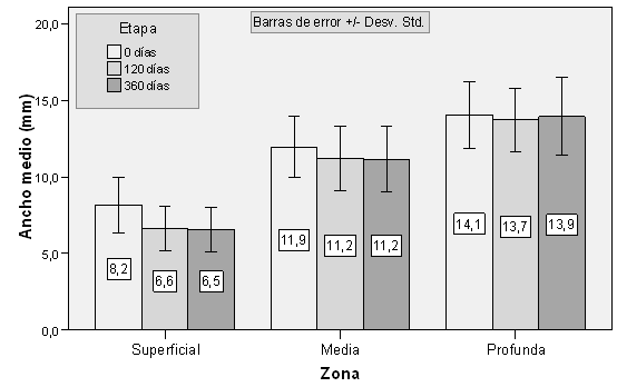 Gráfico 1 Diagrama de barras agrupado. Ancho medio según etapa y profundidad