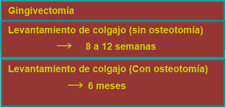 Cuadro 2 Períodos de cicatrización según el tratamiento realizado. Adaptado de Ong M y cols. 2011