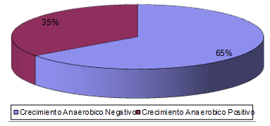 Grafico 1 Frecuencia de crecimiento de microorganismos anaerobios estrictos en pacientes con pericoronaritis.