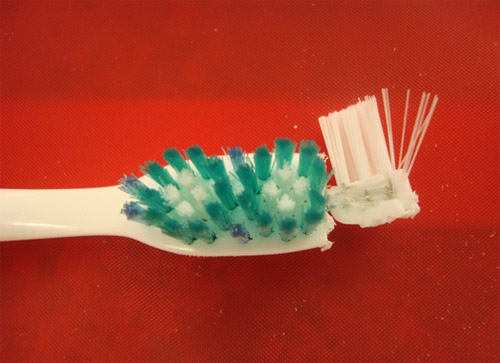 Figura 2 Sección de la cabeza del cepillo dental que muestra el anclaje de las cerdas por medio de grapas.
