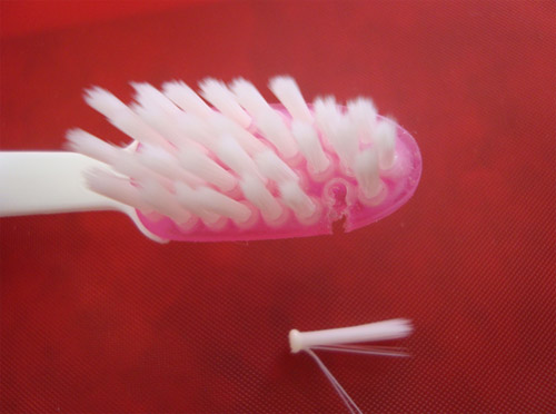 Figura 4 Sección de la cabeza del cepillo dental, que muestra el anclaje de las cerdas inseridas en la cabeza de gel flexible.
