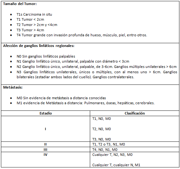 Tabla 1 Estadios de los tumores bucales 4