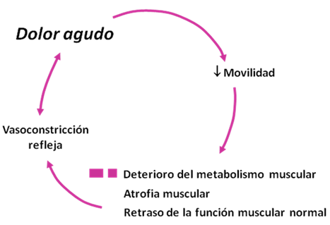 GRÁFICO 3