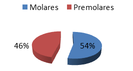 Fig. 2 Porcentaje de piezas dentarioes de 9 pacientes con interferencias oclusales durante el movimiento de protrusión. Valladolid, Yucatán, México. 2012