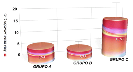 Gráfico 3 Evaluación de la inflamación de acuerdo al método computarizado