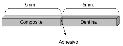 Figura 1 Esquema de la forma y de las partes de las muestras.