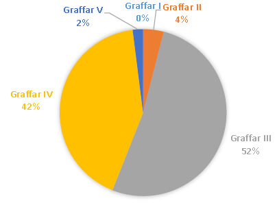 DISTRIBUCIÓN DE LA MUESTRA SEGÚN GRAFFAR