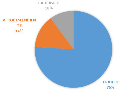 DISTRIBUCIÓN DE LA MUESTRA SEGÚN ETNIA