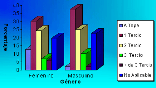 GRÁFICO NUMERO 5 GENERO Y CARACTERÍSTICAS DE LA RELACIÓN VERTICAL MARACAIBO-VENEZUELA. 1995