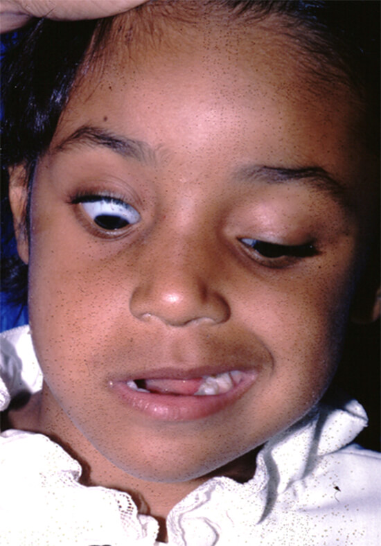FIGURA 2