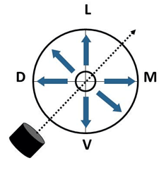 Figura 7