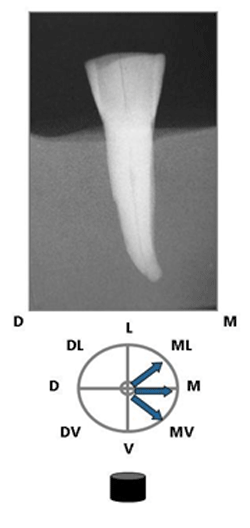Figura 9