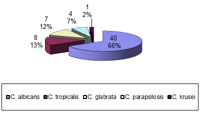 Gráfico I. Especies de Candida aisladas en pacientes VIH/SIDA con Candidiasis Orofaringea