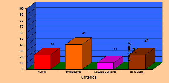 Gráfico Nº 10 Frecuencia y porcentaje de los criterios evaluados en el Índice de Oclusión.