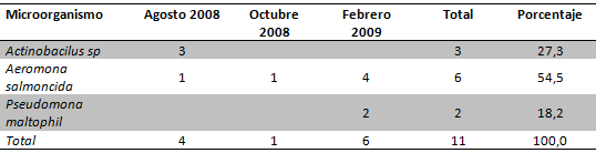 Tabla I Distribución de los microorganismos aislados de acuerdo al tiempo de funcionamiento de las unidades odontológicas