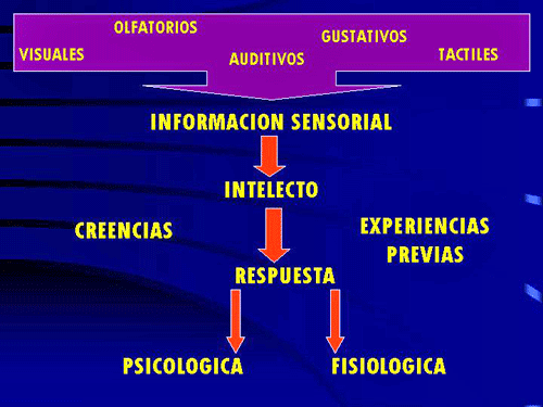 Figura 3