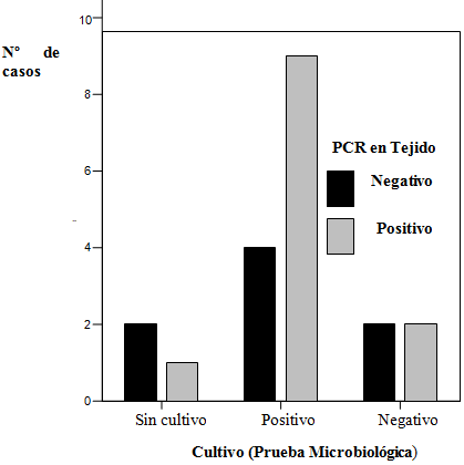 Gráfico N. 3 Relación general entre pruebas convencionales cultivo y PCR de tejido