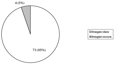 Gráfico 4 Distribución de las 77 fallas de causa indefinida.