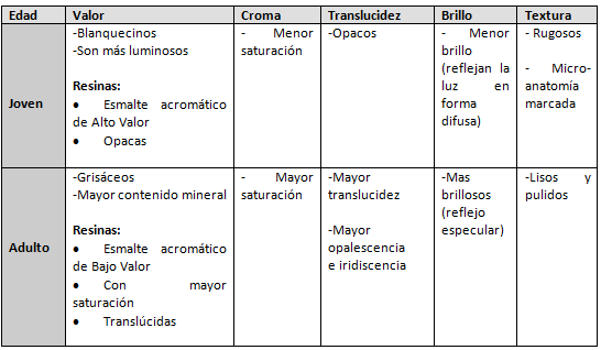 Cuadro 1 Diferencias según la edad dentaria en los parámetros de color.