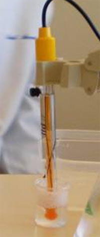Figura 1 Electrodo de pHmetro o potenciómetro, registrando medición de pH de una muestra de saliva.