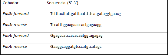 Tabla 1 Cebadores utilizados para la amplificación de los exones 3 y 4 del gen Fas de rata.
