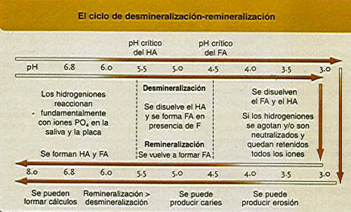 Figura 1