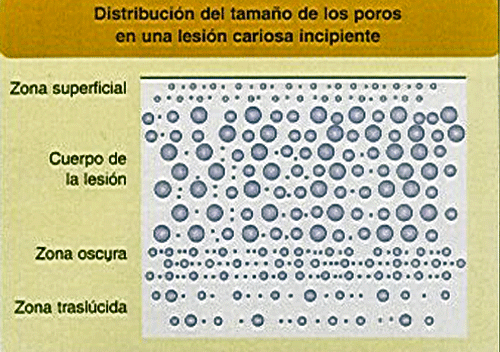 Figura 2