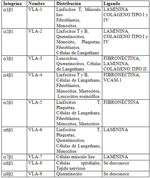 Tabla 1: Subfamilia de las Integrinas ß1.