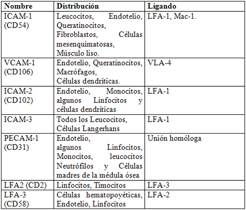 Tabla 2: Superfamilia de las Inmunoglobulinas