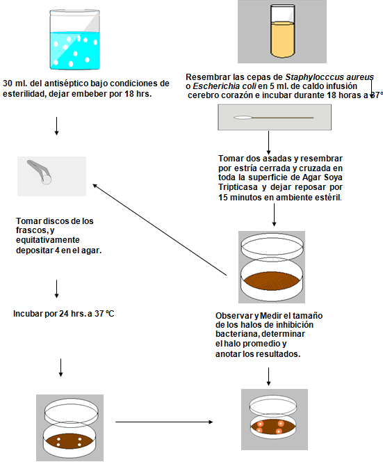 DIAGRAMA GENERAL DE PROCEDIMIENTO