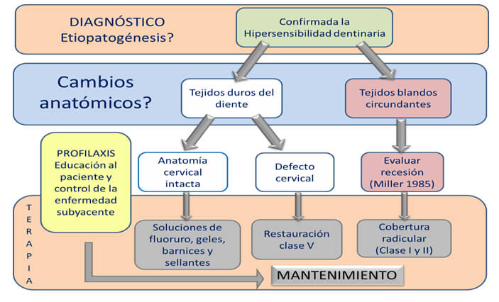 Figura 1. Tratamiento de la hipersensibilidad dentinaria. Tomado de Schmidlin y Sahrmann48. Current management of dentin hypersensitivity. Clin Oral Invest. 2013;17(1):S55-9.