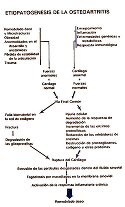 Figura 1