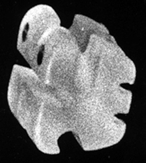 Fig. 4.- Bracket de Combinación en cerámica
