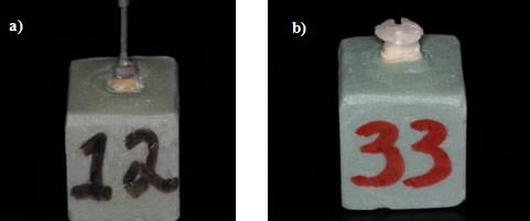 Figura 1 a) Diente preparado con Perno-Muñón Colado. b) Diente preparado con Perno Fiber Lux y muñón de ionómero de vidrio incluidos en cubos de acrílico y acondicionados para la prueba de esfuerzo a la tensión.