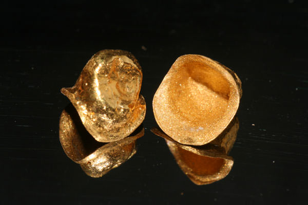 Figura 2 Estructuras obtenidas por electrodeposición en oro.