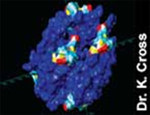 Modelo molecular del complejo FCA