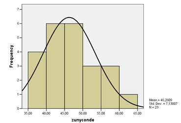 Gráfico 4 Escala de Depresión de Zung y Conde